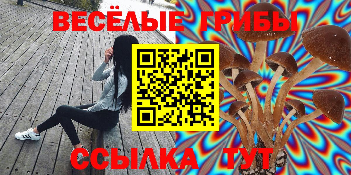 Новоалександровск  Галлюциногенные грибы Psilocybe  Псилоцибиновые грибы мухоморы  Вход с VPN 