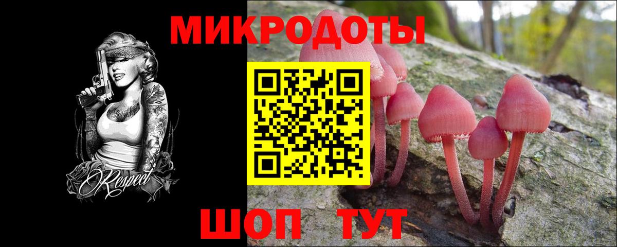 Галлюциногенные грибы MAGIC MUSHROOMS Новоалександровск